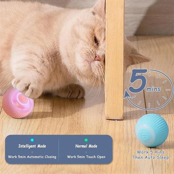 Smart Cat Ball Toys