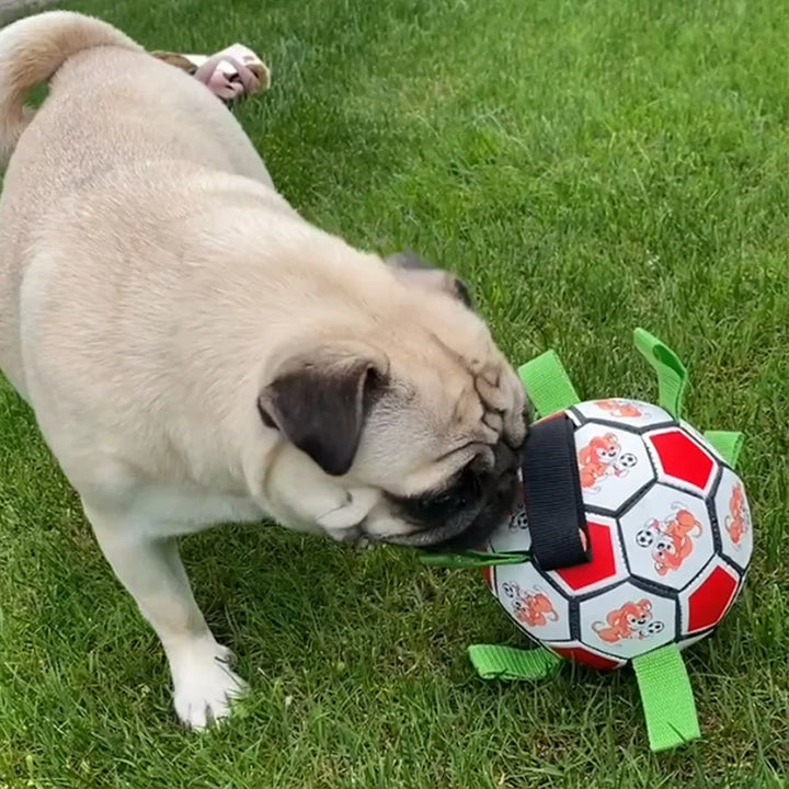 Interactive Soccer Ball for Dogs