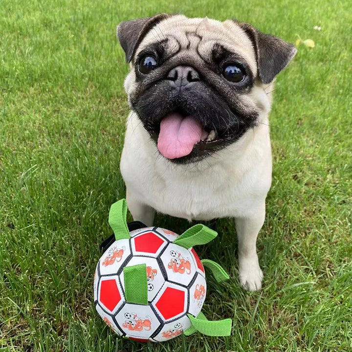 Interactive Soccer Ball for Dogs