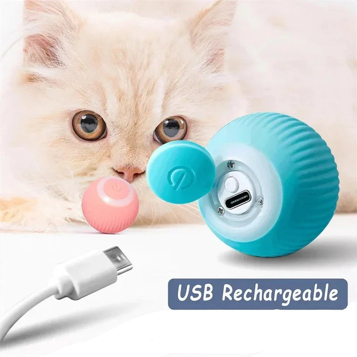 Smart Cat Ball Toys