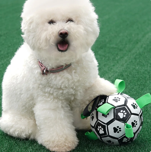 Interactive Soccer Ball for Dogs